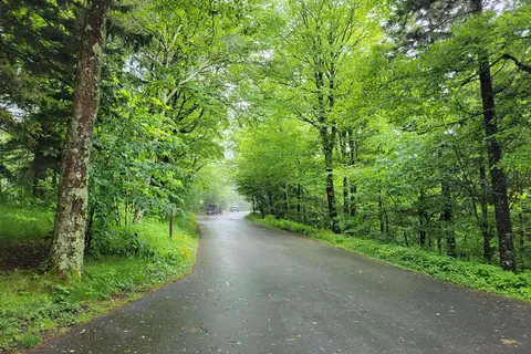 Balsam Mountain Campground - Great Smoky Mountains National Park