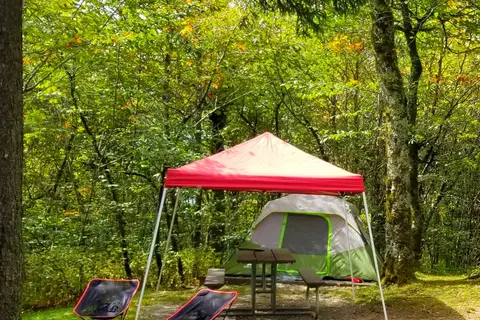 Balsam Mountain Campground - Great Smoky Mountains National Park