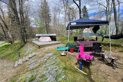 Balsam Mountain Campground - Great Smoky Mountains National Park