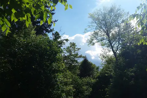 Balsam Mountain Campground - Great Smoky Mountains National Park