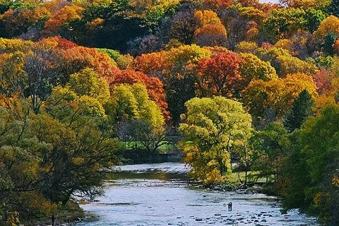 parc provincial Bronte Creek
