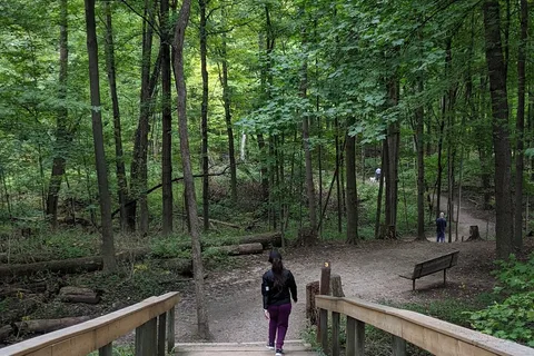 parc provincial Bronte Creek