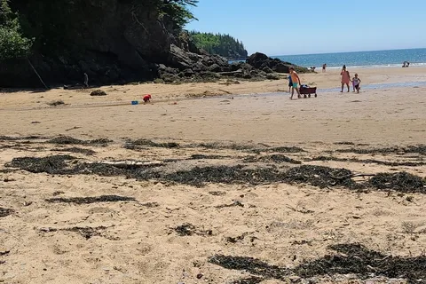 New River Beach Provincial Park