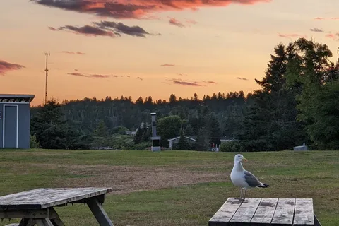 New River Beach Provincial Park