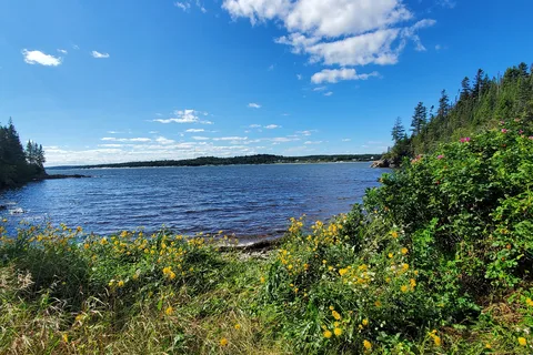 New River Beach Provincial Park