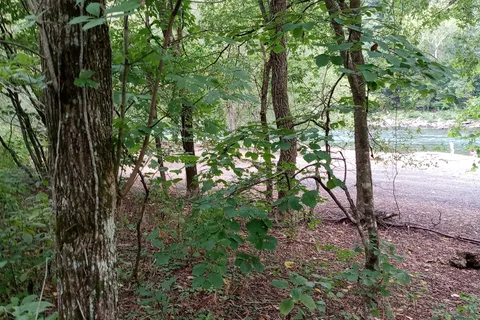 Army Camp - New River Gorge National River