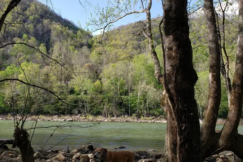 Army Camp - New River Gorge National River