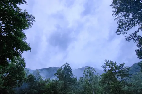 Army Camp - New River Gorge National River