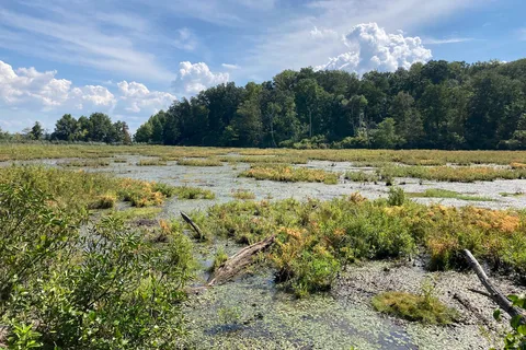 Elk Neck State Park