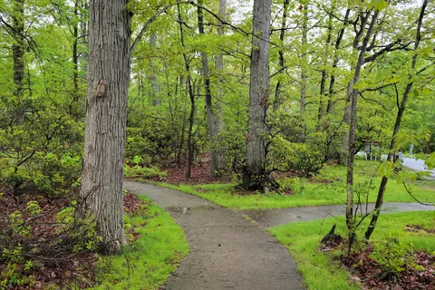 Elk Neck State Park