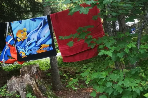 Purden Lake Provincial Park