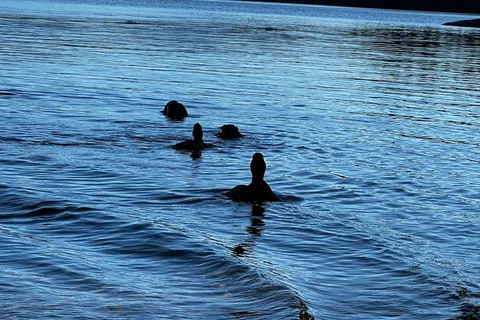 Purden Lake Provincial Park