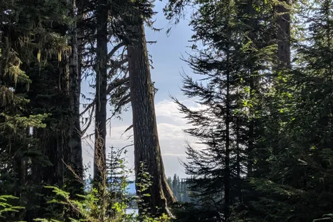 Purden Lake Provincial Park