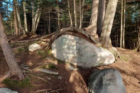 Mikisew Provincial Park