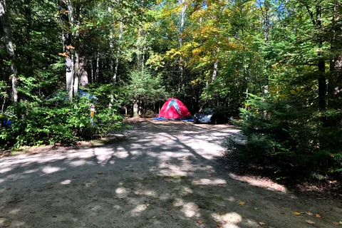 Mikisew Provincial Park