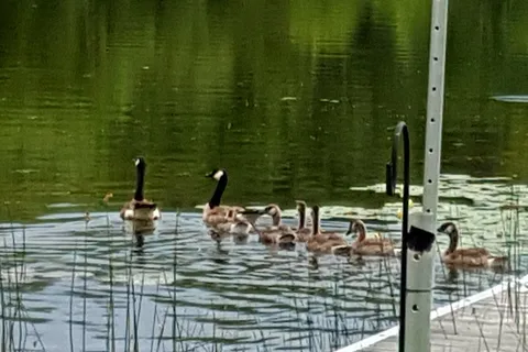 Mcgowan Lake Campground Inc