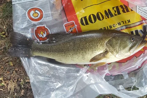 Mcgowan Lake Campground Inc