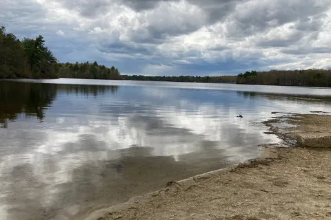 George Washington Management Area