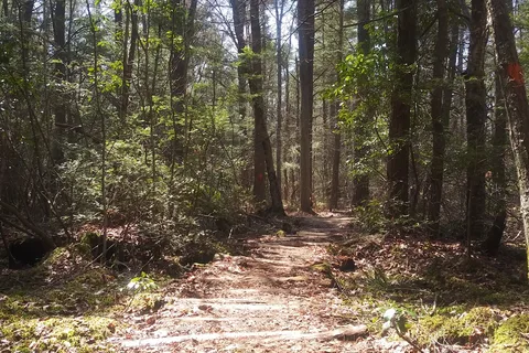 George Washington Management Area