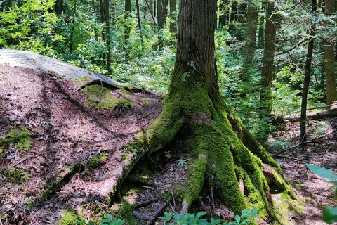 George Washington Management Area