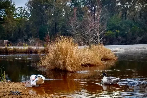 Cain's Creekside RV Park