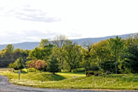 Luray RV Resort and Campground
