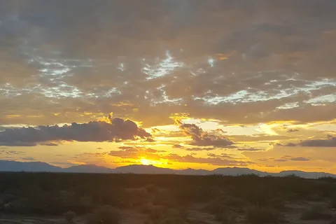 Desert Paradise MH and RV Park
