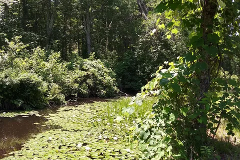 Mill Brook RV Park