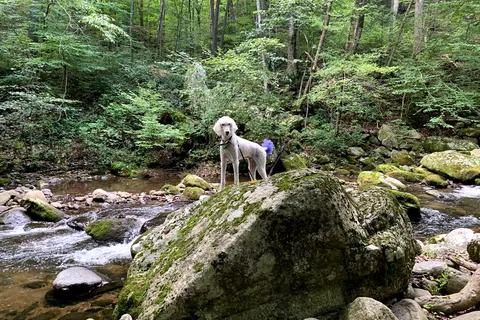 Crabtree Falls Campgrounds