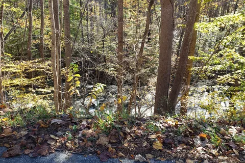 Crabtree Falls Campgrounds