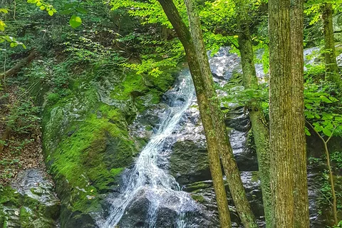 Crabtree Falls Campgrounds