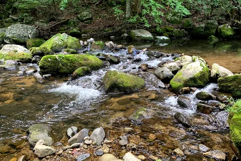 Crabtree Falls Campgrounds