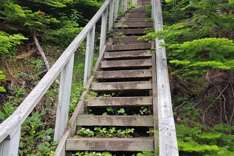 Berry Hill Campground - Gros Morne National Park