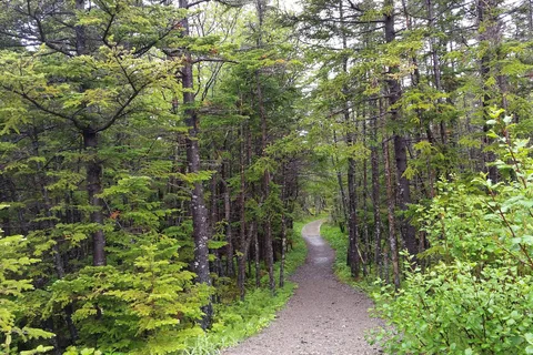 Berry Hill Campground - Gros Morne National Park