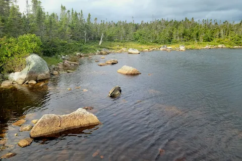 Berry Hill Campground - Gros Morne National Park