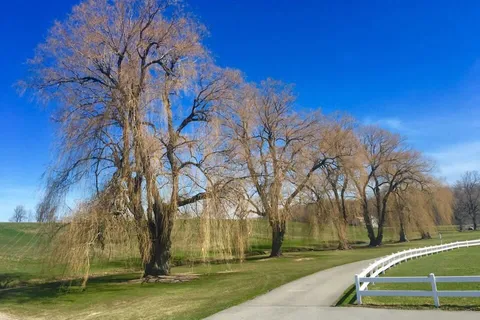 Nor-Win Farm and Campsite