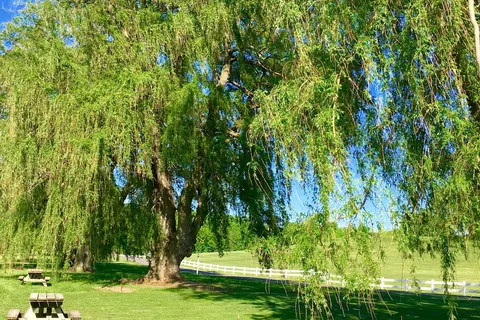 Nor-Win Farm and Campsite