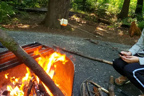 Maple Bay - Cultus Lake Provincial Park