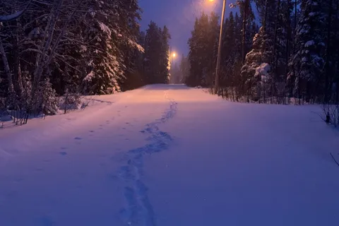Nut Point - Lac La Ronge Provincial Park