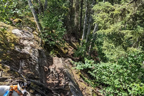 Nut Point - Lac La Ronge Provincial Park