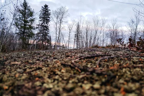 Nut Point - Lac La Ronge Provincial Park