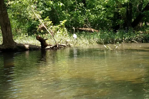 Turkey Creek RV Village