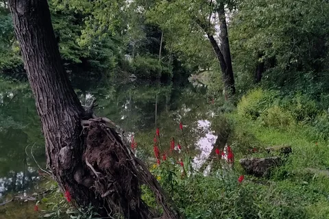 Turkey Creek RV Village