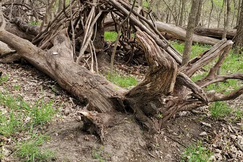 Walnut River Area - El Dorado State Park