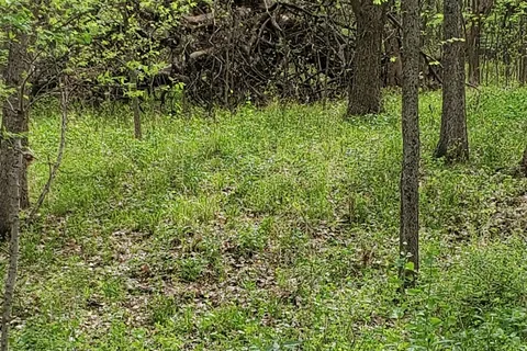 Walnut River Area - El Dorado State Park