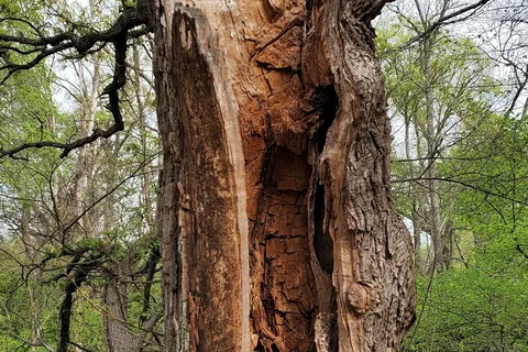 Walnut River Area - El Dorado State Park