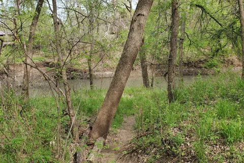 Walnut River Area - El Dorado State Park