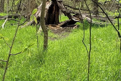 Walnut River Area - El Dorado State Park