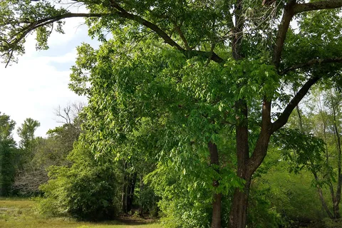 Lake Palestine Gateway RV Park