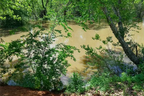 Lake Palestine Gateway RV Park